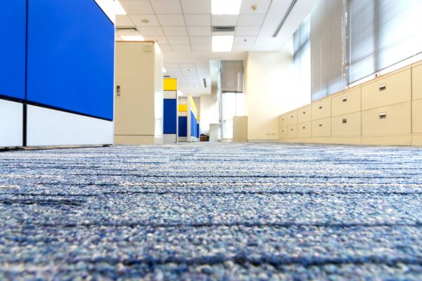 Business Carpet Cleaning in Monument
