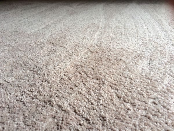 Plush Carpet Installation in Monument