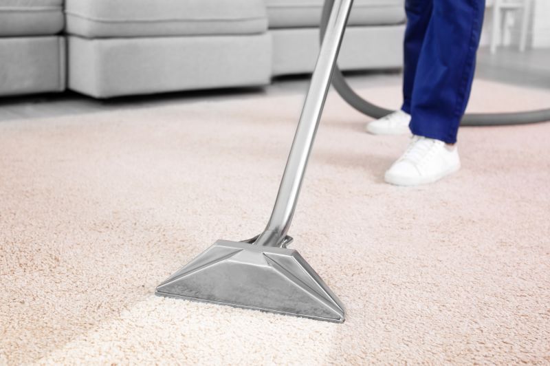 Clean Carpets in Action